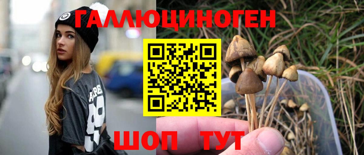 Псилоцибиновые грибы Psilocybine cubensis Ишим