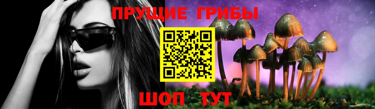 цены   Псилоцибиновые грибы MAGIC MUSHROOMS  Галлюциногенные грибы Magic Shrooms  Вход с VPN  Ишим 